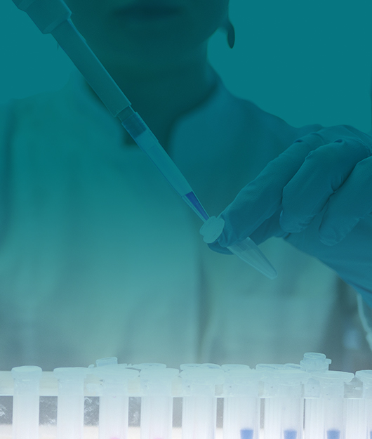 國產土壤檢測儀品牌推薦哪家?